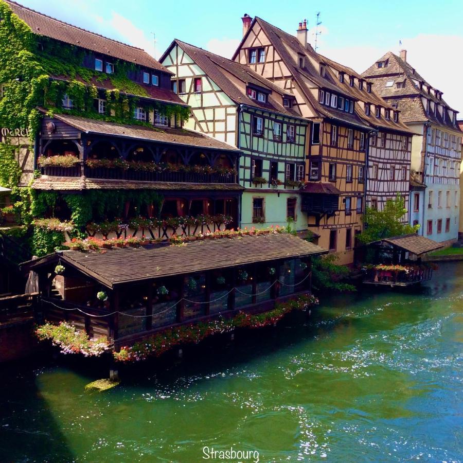 Chalet Du Silberrain Pres De Colmar - Cheminee, Sauna, Piscine Partagee Osenbach Buitenkant foto