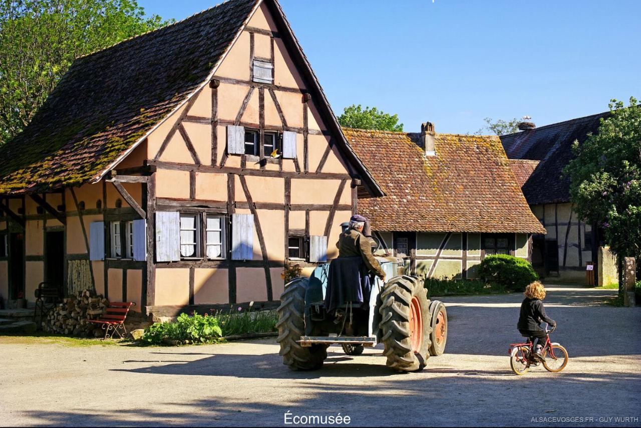 Chalet Du Silberrain Pres De Colmar - Cheminee, Sauna, Piscine Partagee Osenbach Buitenkant foto